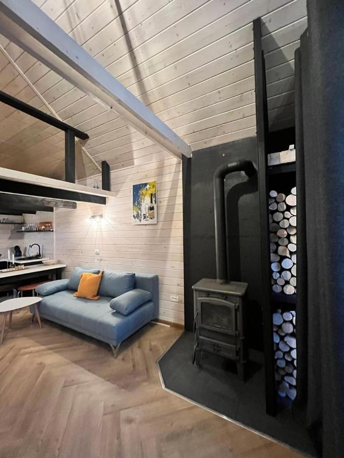 Mini Valley House 1 Sita Buzăului Екстериор снимка