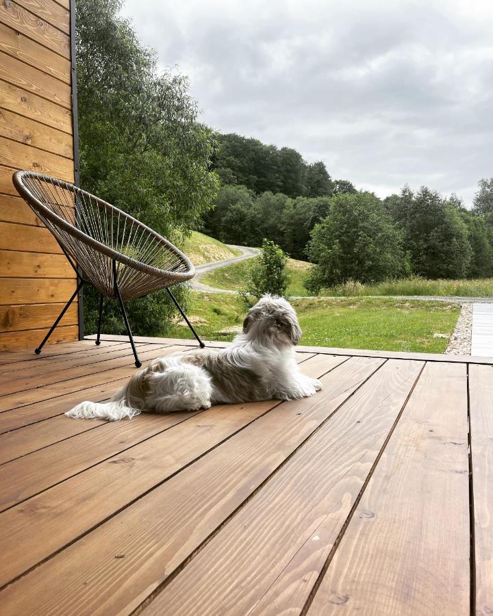 Mini Valley House 1 Sita Buzăului Екстериор снимка